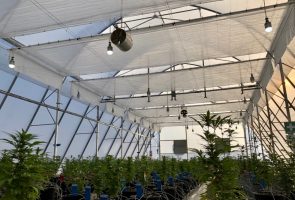 Alweco Screen Shading 1