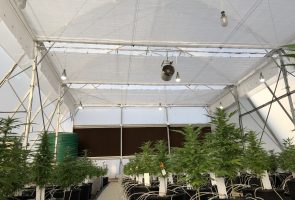 Alweco Screen Shading 3
